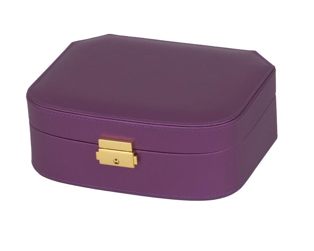 New - Freya Purple Microfibre Jewel Case