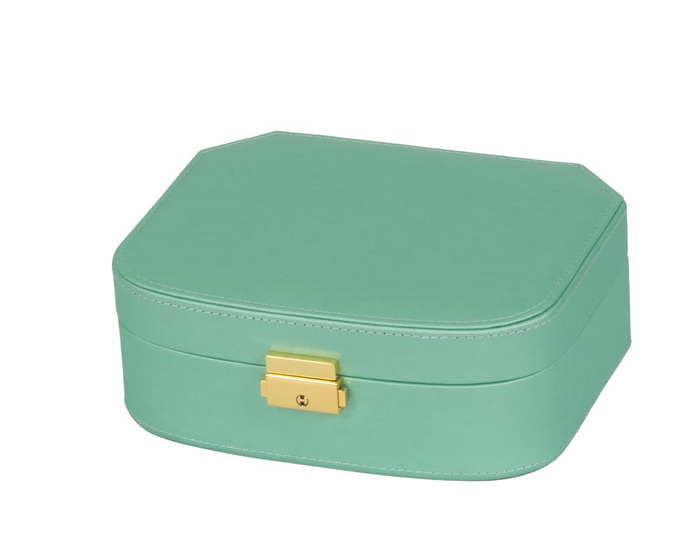 Davina Sea Green Microfibre Jewel Case