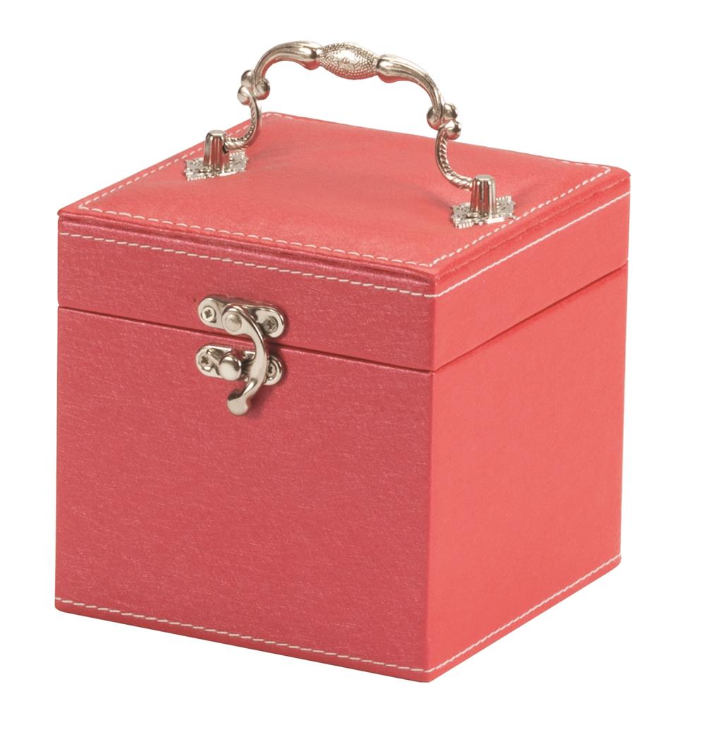 Paula Metallic Sheen Jewel Case